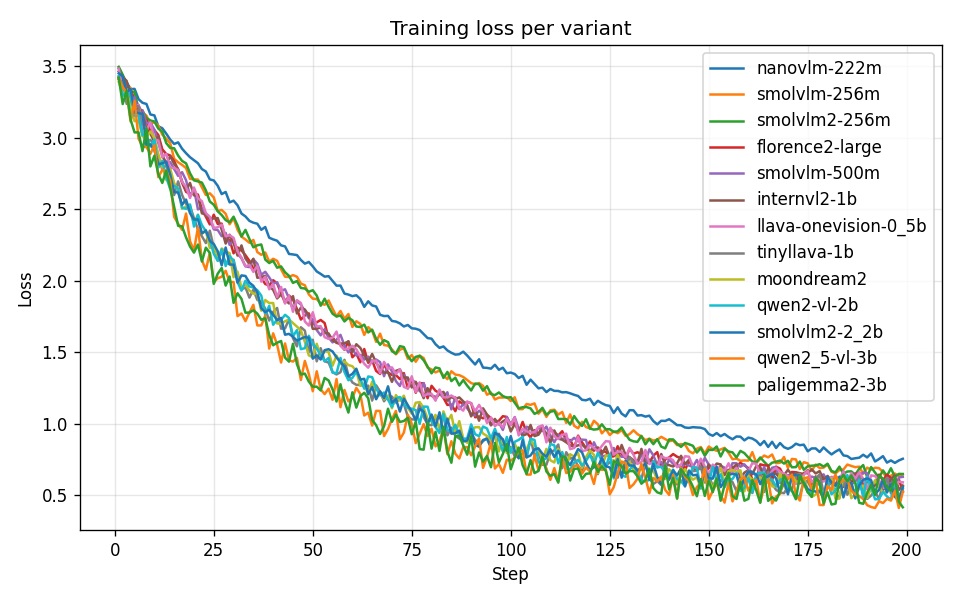 loss curves